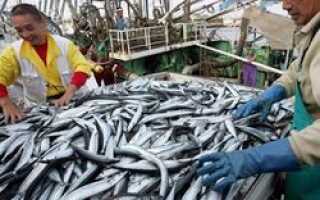 Поставки рыбы на Украину в последнее время стали сокращаться