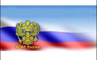 Работу «Forex-брокеров» собирается контролировать ФСФР